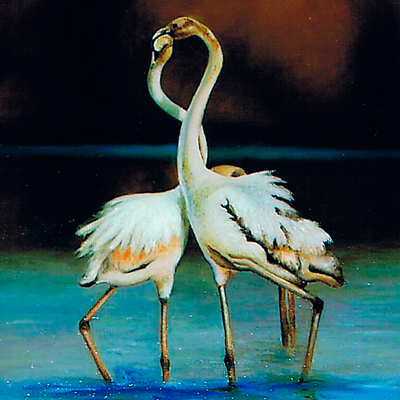 fenicotteri monica corda